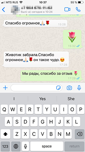 Отзыв